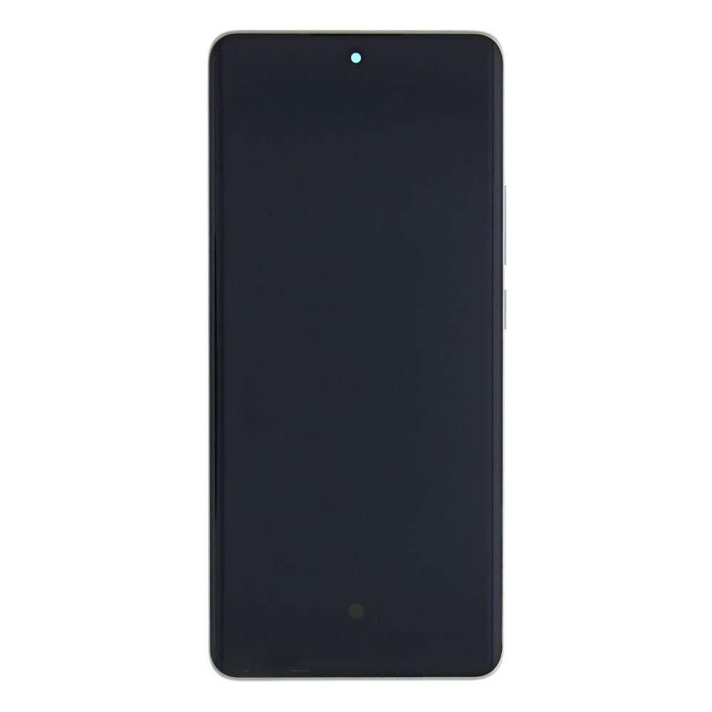 Oppo Reno 10 Pro 5G (CPH2525) Display And Digitizer With Frame Silvery Grey Service Pack