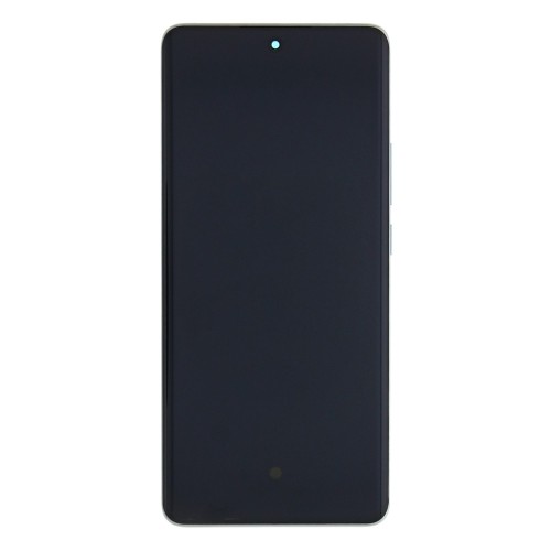 Oppo Reno 10 Pro 5G (CPH2525) Display And Digitizer With Frame Silvery Grey Service Pack