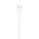 Apple Earpods With USB-C Connector (MTJY3ZM/A)
