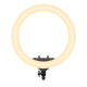 Rixus RXLG28 Ring Light 36W 19 Inch White
