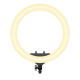 Rixus RXLG28 Ring Light 36W 19 Inch White