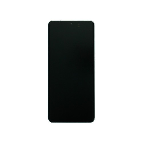 Samsung Galaxy S21 5G Ultra G998B Display And Digitizer With Frame Phantom Silver Service Pack