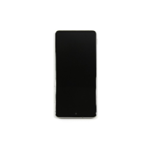 Samsung Galaxy Note 10 Lite N770F/DS Display And Digitizer With Frame Aura Glow Silver Service Pack
